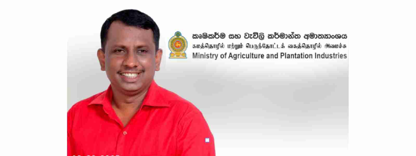 පොහොර ලබාදීම සඳහා නව ක්‍රමවේදය සති දෙකකින්